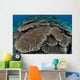 Hard Coral Reef with Wall Decal Design 2