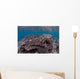 Hard Coral Reef with Wall Decal Design 1