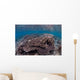 Hard Coral Reef with Wall Decal Design 1