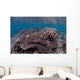 Hard Coral Reef with Wall Decal Design 1