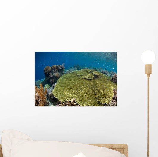 Shallow Coral Reef Bunaken Wall Decal Design 1