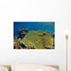 Shallow Coral Reef Bunaken Wall Decal Design 1