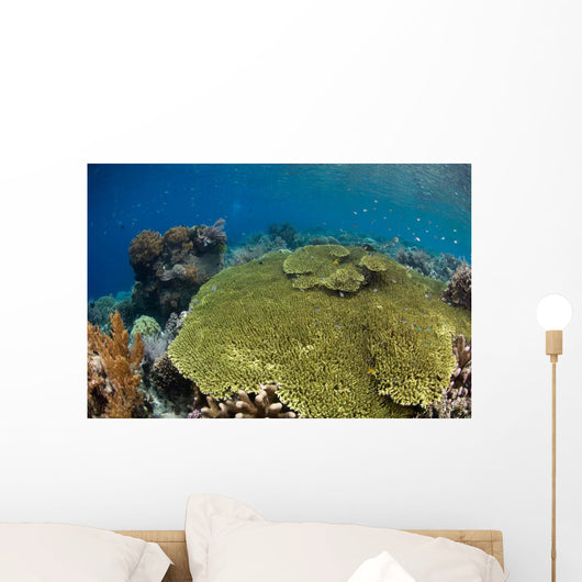 Shallow Coral Reef Bunaken Wall Decal Design 1