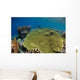 Shallow Coral Reef Bunaken Wall Decal Design 1