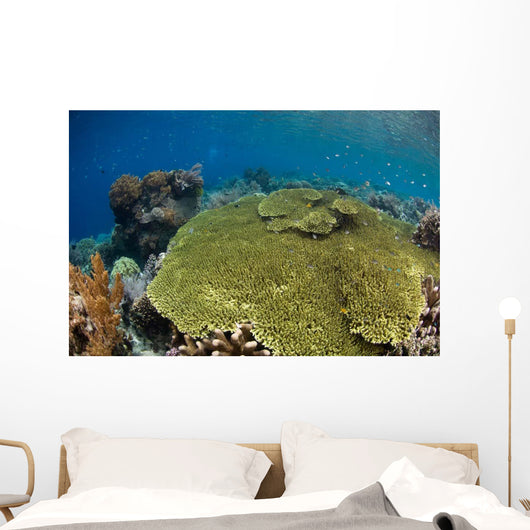 Shallow Coral Reef Bunaken Wall Decal Design 1