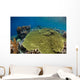 Shallow Coral Reef Bunaken Wall Decal Design 1