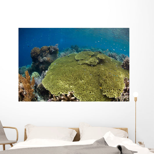 Shallow Coral Reef Bunaken Wall Decal Design 1