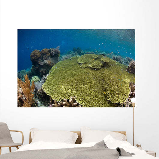 Shallow Coral Reef Bunaken Wall Decal Design 1
