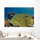 Shallow Coral Reef Bunaken Wall Decal Design 1