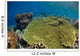 Shallow Coral Reef Bunaken Wall Decal Design 1