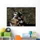 Mimic Octopus Lembeh Strait Wall Decal Design 5