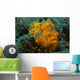 Painted Frogfish Lembeh Strait Wall Decal