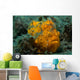 Painted Frogfish Lembeh Strait Wall Decal