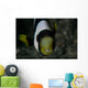 Saddleback Anemonefish and Tongue Wall Decal