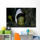 Saddleback Anemonefish and Tongue Wall Decal