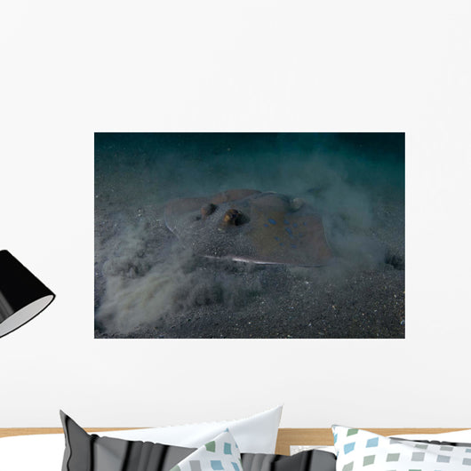 Blue Spotted Stingray Lembeh Wall Decal Design 2