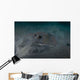 Blue Spotted Stingray Lembeh Wall Decal Design 2