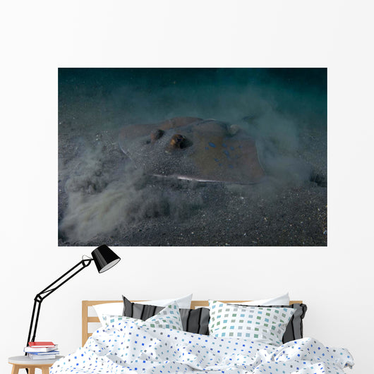Blue Spotted Stingray Lembeh Wall Decal Design 2