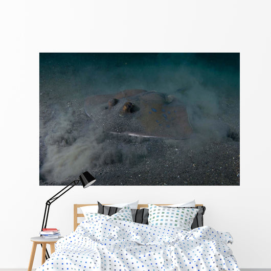 Blue Spotted Stingray Lembeh Wall Decal Design 2