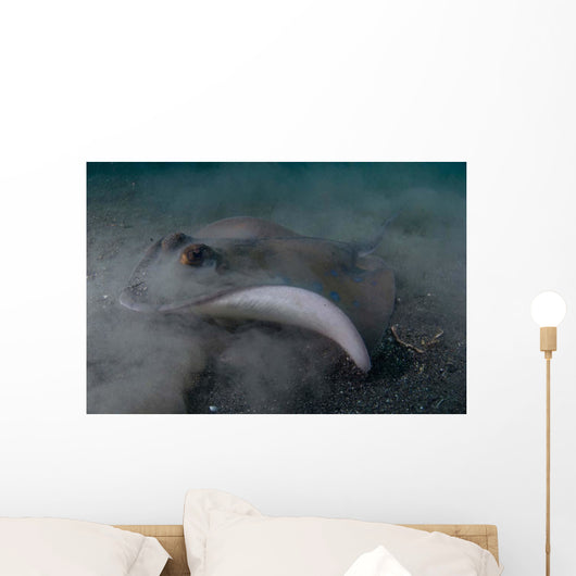 Blue Spotted Stingray Lembeh Wall Decal Design 1