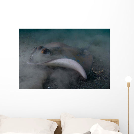 Blue Spotted Stingray Lembeh Wall Decal Design 1