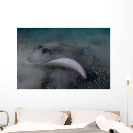 Blue Spotted Stingray Lembeh Wall Decal Design 1