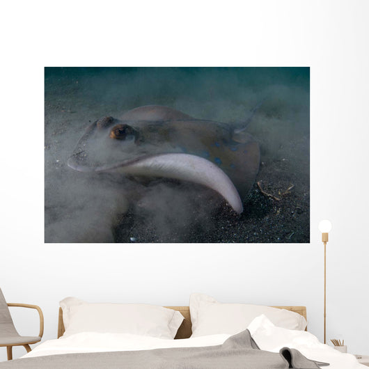 Blue Spotted Stingray Lembeh Wall Decal Design 1