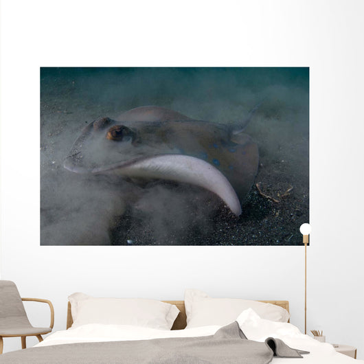 Blue Spotted Stingray Lembeh Wall Decal Design 1