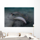 Blue Spotted Stingray Lembeh Wall Decal Design 1