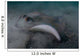 Blue Spotted Stingray Lembeh Wall Decal Design 1
