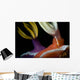 Emperor Shrimp Hypselodoris Nudibranch Wall Decal