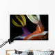 Emperor Shrimp Hypselodoris Nudibranch Wall Decal