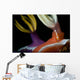 Emperor Shrimp Hypselodoris Nudibranch Wall Decal