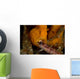 Painted Frogfish Eating Sandperch Wall Decal Design 2