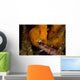 Painted Frogfish Eating Sandperch Wall Decal Design 2