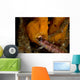 Painted Frogfish Eating Sandperch Wall Decal Design 2