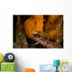 Painted Frogfish Eating Sandperch Wall Decal Design 2