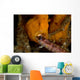Painted Frogfish Eating Sandperch Wall Decal Design 2