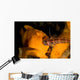 Painted Frogfish Eating Sandperch Wall Decal Design 1