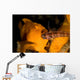 Painted Frogfish Eating Sandperch Wall Decal Design 1
