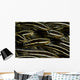 School Striped Catfish Lembeh Wall Decal Design 2