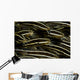 School Striped Catfish Lembeh Wall Decal Design 2