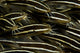 School Striped Catfish Lembeh Wall Decal Design 2