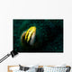 Shorthead Fangblenny Bottle Wall Decal