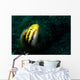 Shorthead Fangblenny Bottle Wall Decal