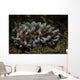 Phyllodesmium Nudibranch Portrait Wall Decal