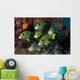 Schooling Ribbon Sweetlips Raja Wall Decal