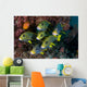 Schooling Ribbon Sweetlips Raja Wall Decal