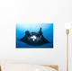 Manta Ray Missing Cephalic Wall Decal