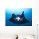 Manta Ray Missing Cephalic Wall Decal